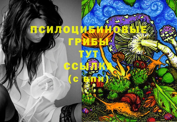 синтетический гашиш Коряжма