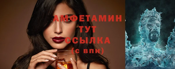 гашик Краснослободск