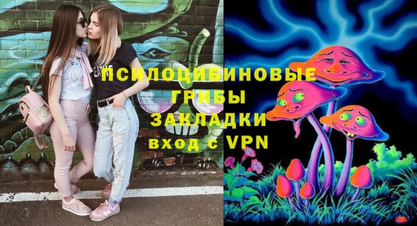 винт Костерёво