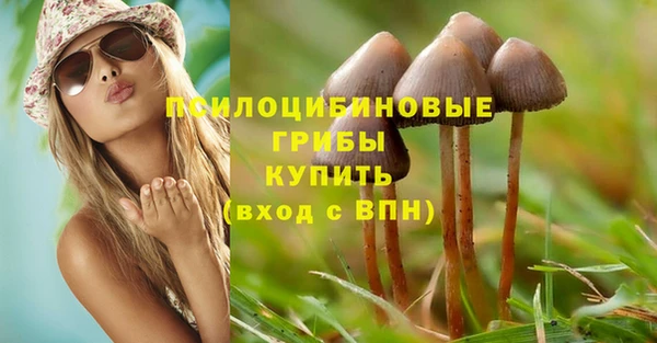 синтетический гашиш Коряжма